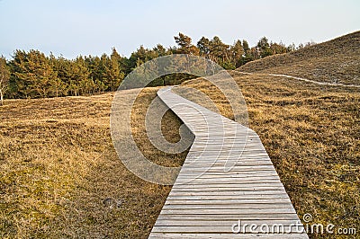 Hiking trail over a wooden walkway to the high dune on the DarÃŸ. National park Stock Photo